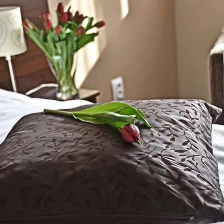 U Hradu Hotel Mladá Boleslav