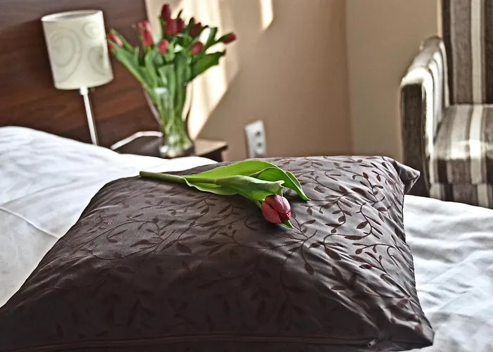 U Hradu Hotel Mladá Boleslav